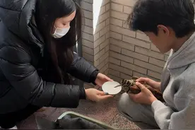 【盐有爱】萌鸟获救记！走路像蹦迪的丘鹬在盐城被高校学子暖心救助图片