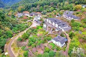 周末新去处！逛古村、拍花海…梅县农文旅模式火出圈图片