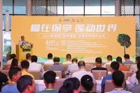 “树上熟” 海南保亭榴莲正式上市 2024年实现1400余亩榴莲树批量挂果图片