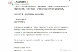 上海迪士尼称或将取消跨年烟花秀图片