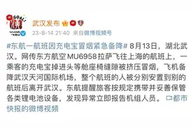 因为一个充电宝，东航MU6958紧急备降武汉！图片