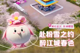 蒜鸟～蒜鸟～不如去大好河山看一看！图片