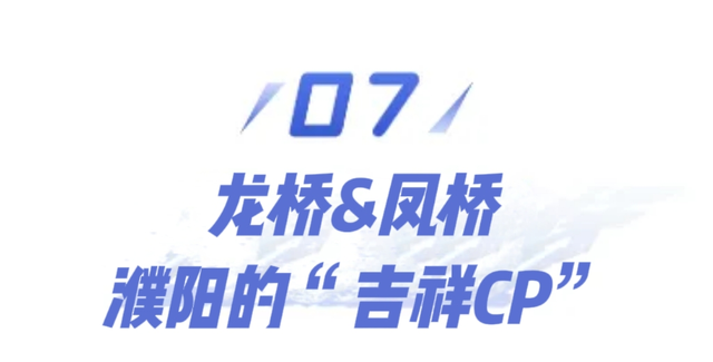 瞧～濮阳的“桥桥”
