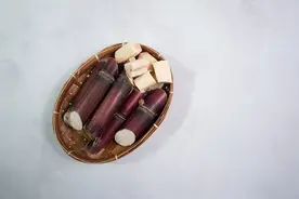 新民随笔｜秋冬甘蔗入佳境图片