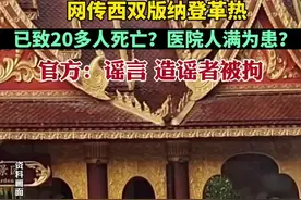 网传西双版纳登革热已致20多人死亡？医院人满为患？官方：谣言 造谣者被拘图片