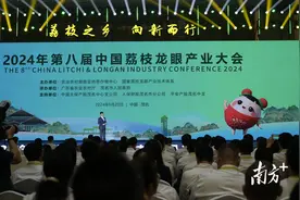 办会五年，细数茂名荔枝走过的路图片