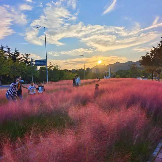 青岛赏秋去哪里？这几个地方别错过！