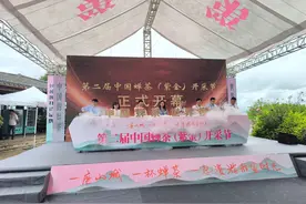 将每年的5月20日设立为“蝉茶日”！河源紫金举办第二届中国蝉茶（紫金）开采节图片