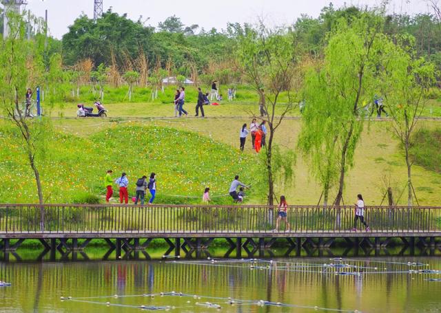 发现·公园城市 | 深呼吸，感受成都湿地魅力