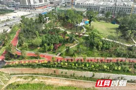 让城市有“弹性”添“韧性”！解锁汨罗海绵城市建设的“生态密码”图片