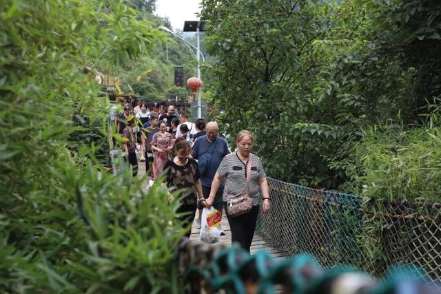 【绥阳县2025十大年度热词】山水赋能后，金银自然生——破译“清凉经济”的绥阳样本