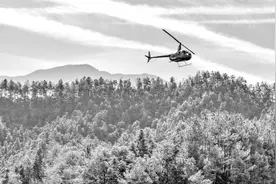 低空经济：如何“飞”得更远图片