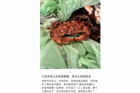 网友称买到毒螃蟹，最新回应图片