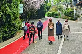 爽爽贵阳·繁花似锦｜花溪区麦翁布依古寨：掘金“赏花经济” 擦亮“旅游名片”图片