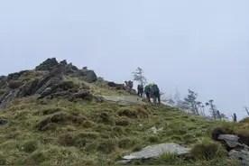 新华全媒+ | 推动大熊猫保护与发展，看这些地方有何“妙招”图片