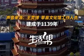沿着济郑高铁去旅行 打卡莘县地标燕塔图片