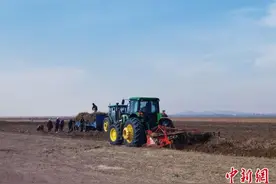 内蒙古乌拉特：药材变“药财” 致富有“良方”图片