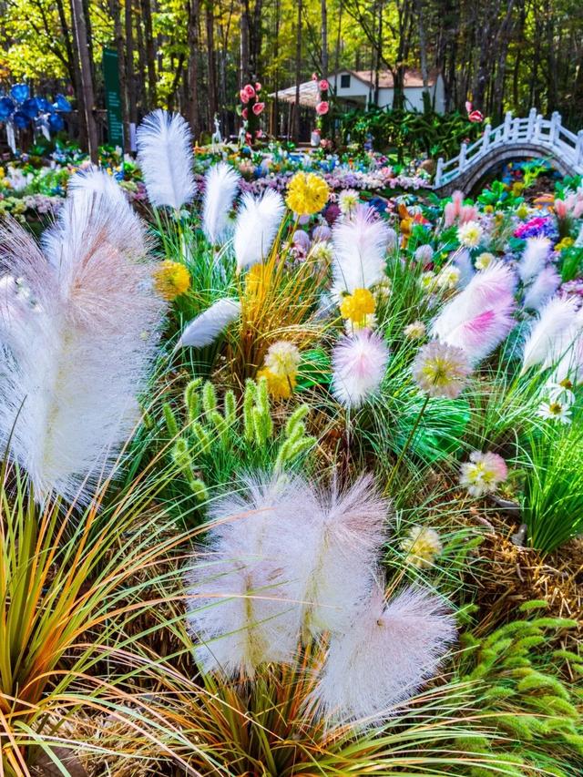 免门票福利！白云山绝美秋色正在上映→