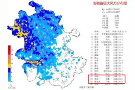 风力达10级！阜阳大风信息快报图片