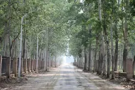 增派人手24小时清运建筑“垃圾山”，桑马房东路恢复畅通图片