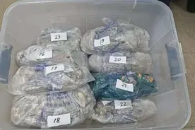 冬天你泡脚了没？中药足浴包抽检合格率仅3%图片