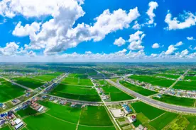 江苏如东：滨海大地 秋色如画图片