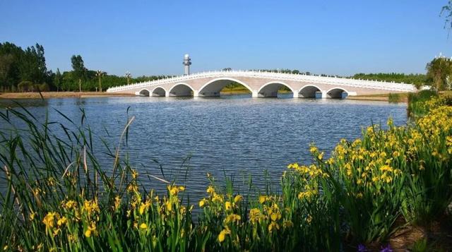 豫篮燃动龙都，解锁濮阳文旅新玩法！