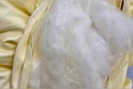 千元蚕丝被百元成交？注意，已有多人中招图片