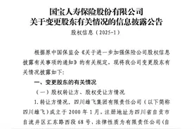 国宝人寿7.576%股权被宏宇公司拍下，第七大股东四川雄飞拟退场图片