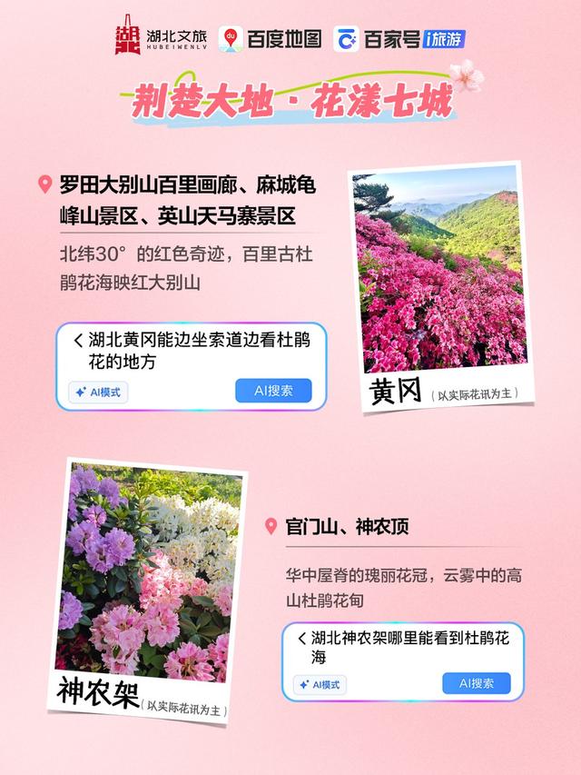 暴雨将停，AI赏花一键直达！