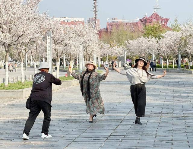 美翻了！天门最美樱花大道浪漫上线