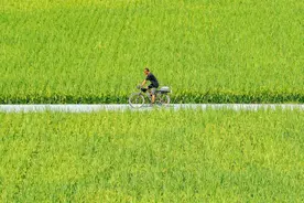 经济日报金观平：增强土地对高质量发展保障能力图片