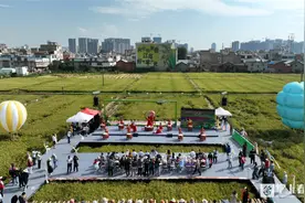 5大板块30多项精彩活动 呈贡“丰收游”与你相约图片