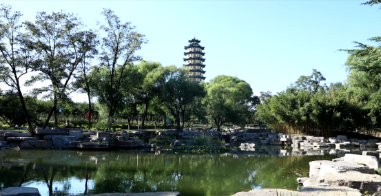 焕新归来！沂水东皋公园：四季有景夜有光 古塔生辉美出圈