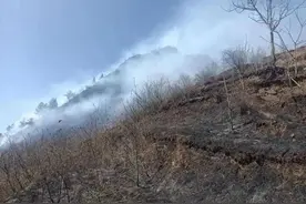 祭祀烧纸引发山火被刑拘！这些举动可能被判刑→图片
