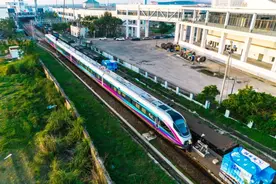 亮相满月！动车组的新涂装太酷炫了图片