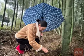 四川新农人丨邬高兰：竹林里的“蘑”法师图片