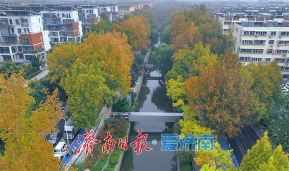 一年四季 泉在济南丨工商河畔 层林尽染秋意浓