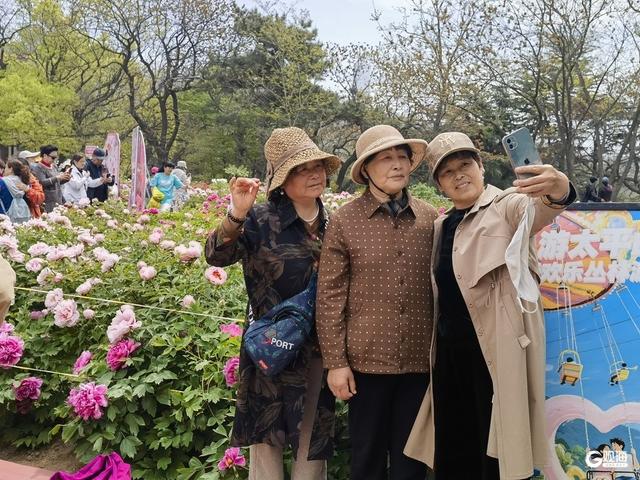 国色倾城！快来中山公园，赴一场牡丹之约