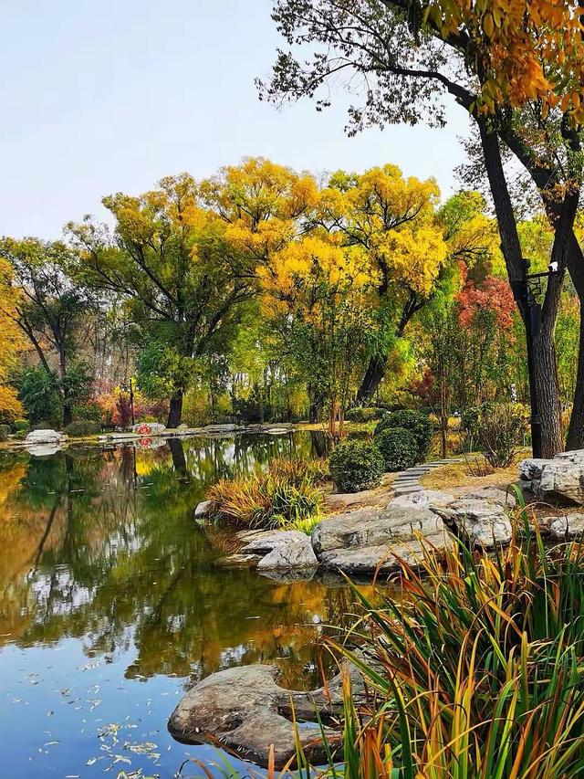 晚潮｜邂逅秋光三千年