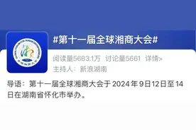 30余名网络大咖助力第十一届全球湘商大会图片