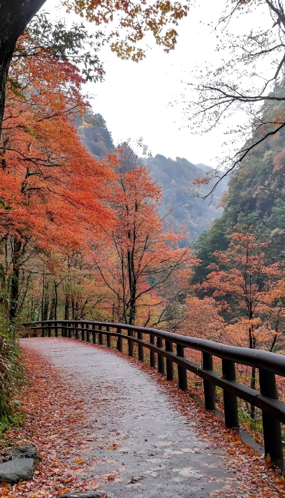 人少！景美！郑州周边9个超适合徒步爬山的好去处→