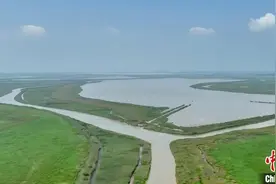 江西鄱阳湖南矶湿地保护区8月记录候鸟77148羽次图片
