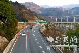 新手女司机高速逆行30公里！保康交警：一次性记12分！图片