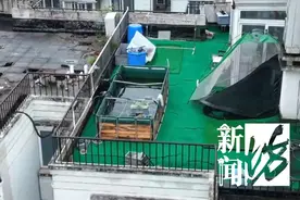上海一居民楼顶惊现巨大鱼缸！近2.5吨！城管：没法规可禁止……最新通报→图片