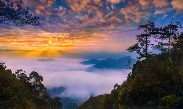 龙栖山水杉即将“限时换妆”！游玩攻略快收藏起来！