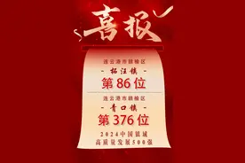 全国500强！赣榆2镇上榜！图片