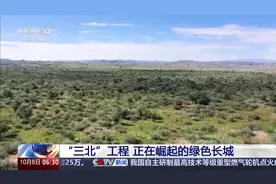“绿色长城”正在崛起！揭开“三北”工程建设密码→图片