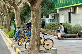 弧形桥座椅、笑脸座椅……上海新华路街道因地制宜打造特色公共座椅图片