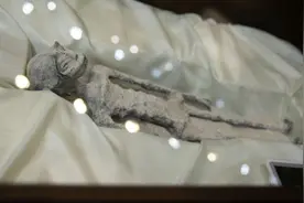 真有外星人？墨西哥首次展出疑似“外星生物遗骸”，但真实性遭质疑图片